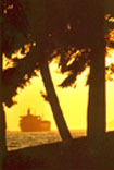 Anchored by the Park