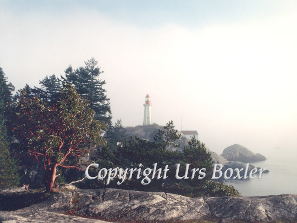  Fog Horn 