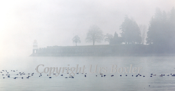 Sea Fog