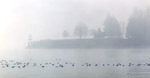 Sea Fog
