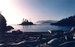 Logs at Rest