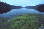 Into the Inlet