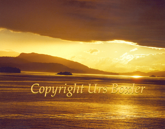  Bathed in Gold