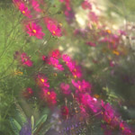 Spring Feeling