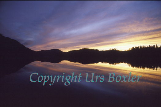  Codville Lagoon Moments 