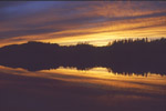 Codville Lagoon Glow