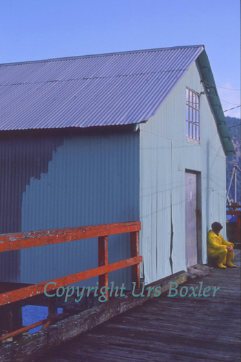  Dock Shed 
