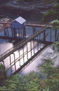 Low Tide