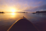Into the Sunset