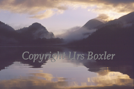  Cutter Cove 