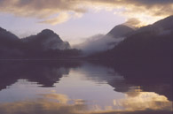 Cutter Cove