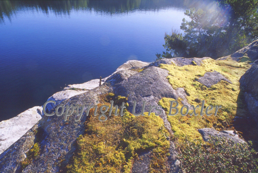  Moss on Granite 