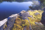 Moss on Granite